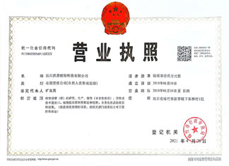 營(yíng)業(yè)執(zhí)照