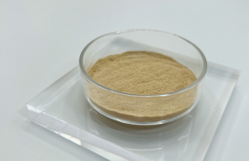 廠家供應(yīng)救必應(yīng)提取物，CAS 42719-32-4 長(zhǎng)梗冬青苷 具棲冬青苷 15% 18%